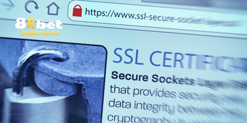 Sử dụng mã hóa SSL 256-bit mang đến một lớp bảo vệ vững chắc